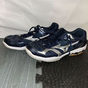 Mizuno Wave Spike 13 Running Volleyball Shoes Women's 9.5 Navy & Silver & White‎